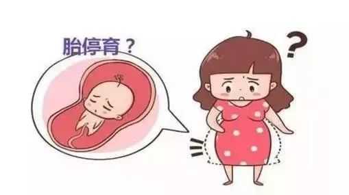 南京有供卵试管婴儿的吗,南京鼓楼医院擅长什么